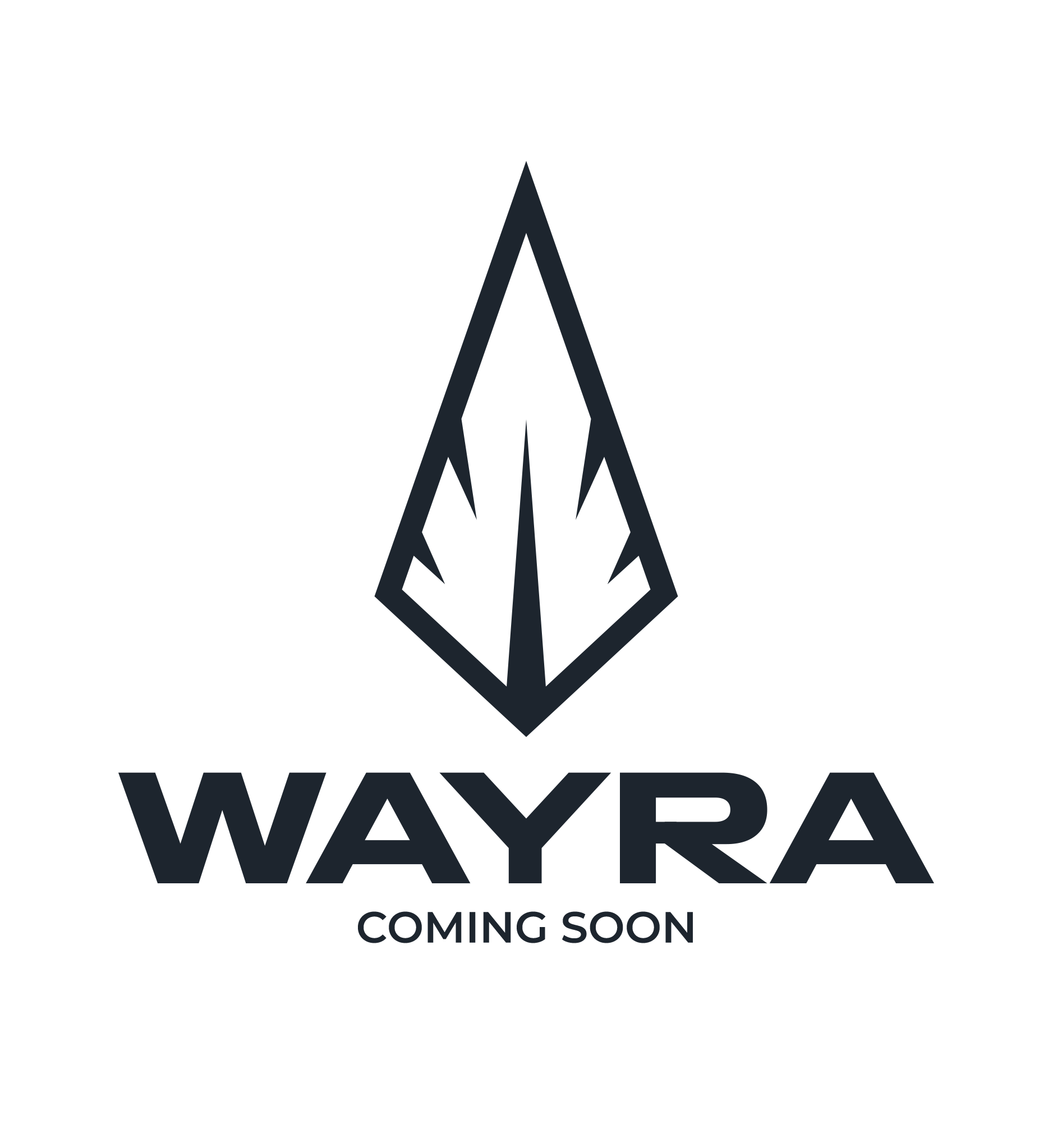 ComingSoonPlaceholder